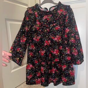 Size 2T precious dress